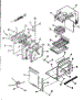 Body Section