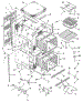 Body Section