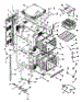 Body Section