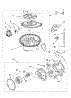 Pump And Motor Parts