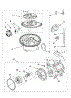 Pump And Motor Parts
