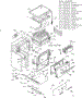 Body Section