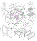 Body Section