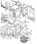 Body Section