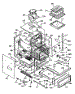 Body Section
