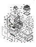 Body Section