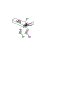 Wire Harnesses And Components