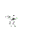Wire Harness And Conponents