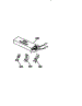 Wire Harness And Components