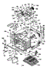 Body Section