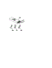 Wire Harness / Wiring Components