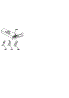 Wire Harnesses / Wiring Components