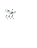 Wire Harness And Components
