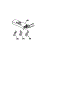 Wire Harness And Components