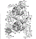 Body Section