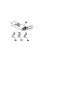 Wiring Harnesses And Components