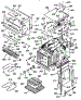 Body Section