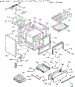 Body Section