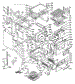 Body Section