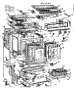 Body Section