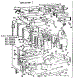 Body Section