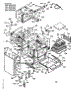 Body Section