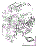 Body Section