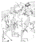 Body Section