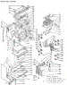 Upper Body Section
