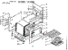 Body Section