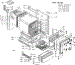 Body Section