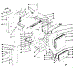 Body Illustration