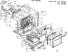 Body Section