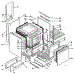 Body Section