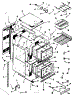 Body Section