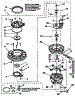 Pump And Motor