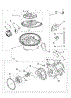 Pump And Motor Parts