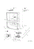 Body Parts