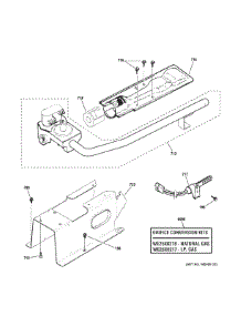 Gas Valve Burner Assembly parts for Ge Dryer YFD45GSPM0DG from AppliancePartsPros.com