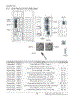 Section 1