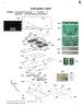 Exploded View