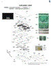 Exploded View