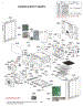 Lower Cavity Parts