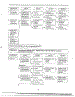 Information Page 11