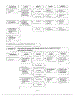 Information Page 11