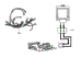 Wiring