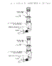 Section 2