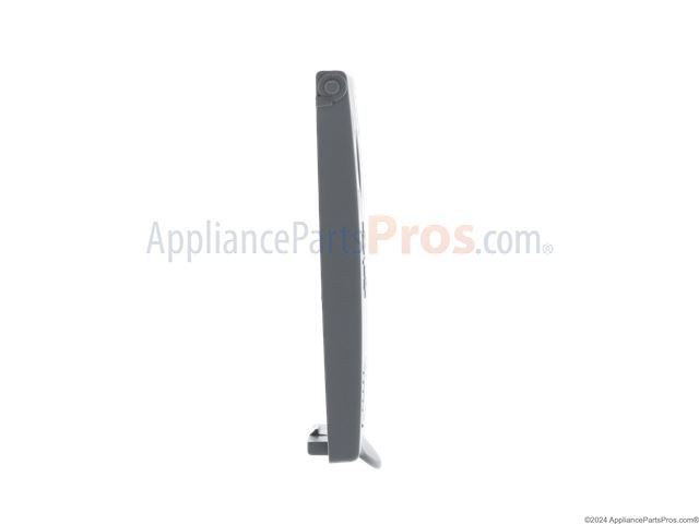 Rinse Aid Door (With Gasket)