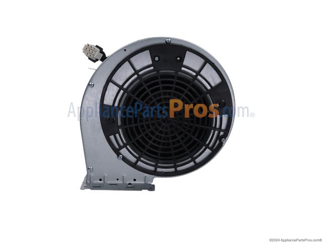 Fan Motor (Blower)