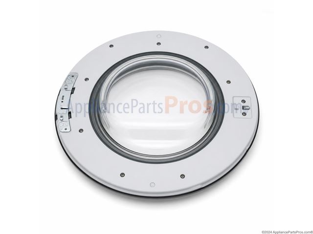 Washer Door Assembly
